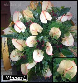 057 Zdjęcia wieńca pogzrebowego wykonanego z kwiatów anturium